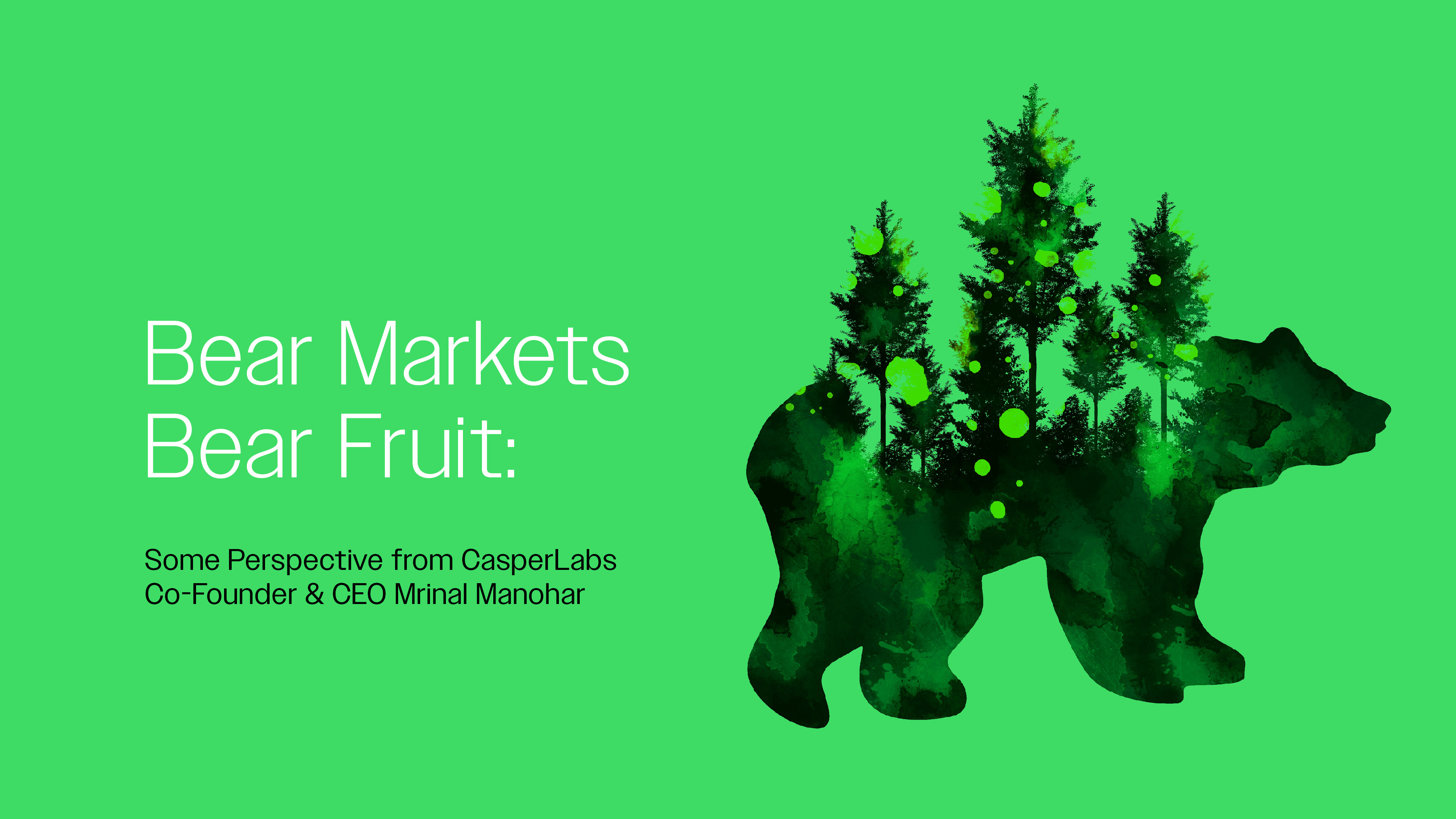 Bear Markets Bear Fruit: CEO Mrinal Manohar | Casper Labs